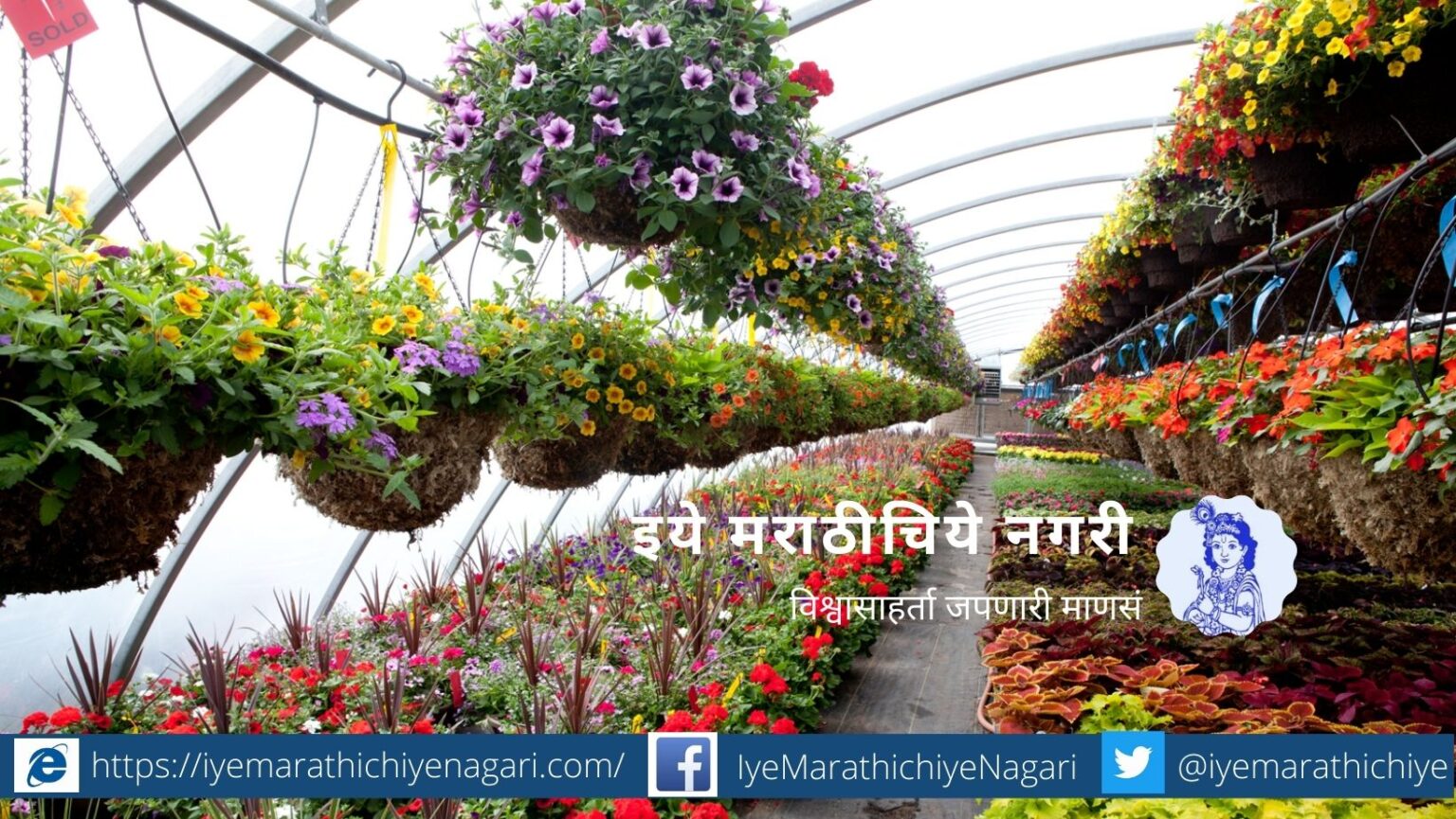 Precaution for Nursery plants article by smita patil