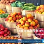 the-need-to-exclude-agricultural-commodities-from-the-essential-commodities-act-amar-habib-article