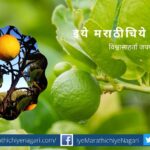 paper-lemon-hasta-season-planning-article-by-dinesh-paithanakar