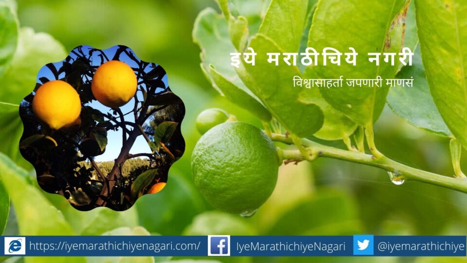 paper-lemon-hasta-season-planning-article-by-dinesh-paithanakar