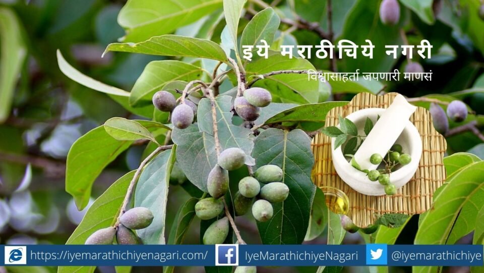 plan for herbal cultivation under Employment Guarantee scheme