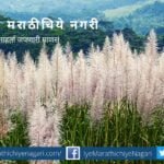 Not useful Sugarcane flowering article by rajendra ghorpade