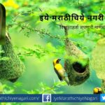 Birds are farmers friend article by rajendra ghorpade