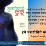 Gulmoharach Kunku Book reveiw of Prashant Kendale book