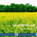 Mira Utpat Tashi article on Sharad season