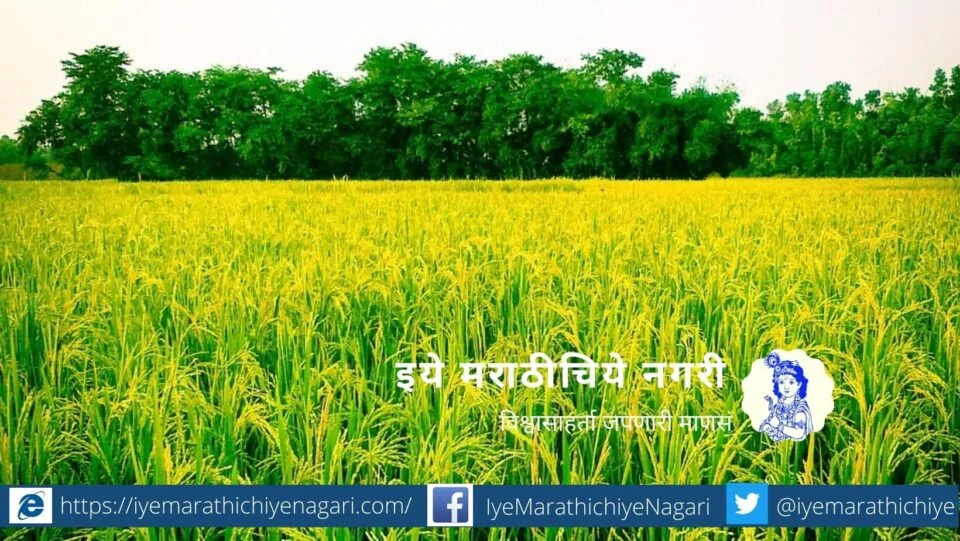 Mira Utpat Tashi article on Sharad season