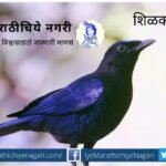 Navratri Biodiversity Theme of Blue color (4)