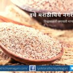 Production of Healthy seed or husk article by rajendra ghorpade