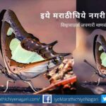 Rajah And Nawab Butterfly article by Pratik More
