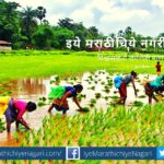 Sowing of seeds is fruitful only in the right state of mind