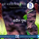 navratri-biodiversity-theme-red color flowers by pratik more