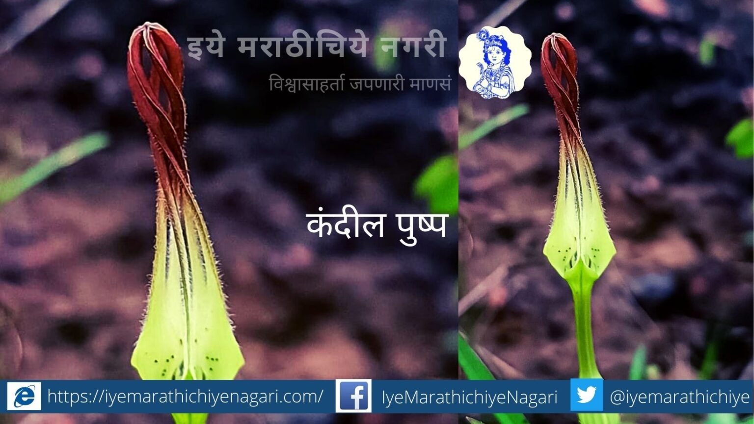 navratri-biodiversity-theme-red color flowers by pratik more