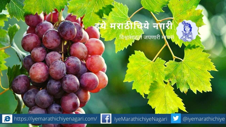 etheral spraying on grape crop