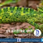 navratri-biodiversity-theme-green colour shades