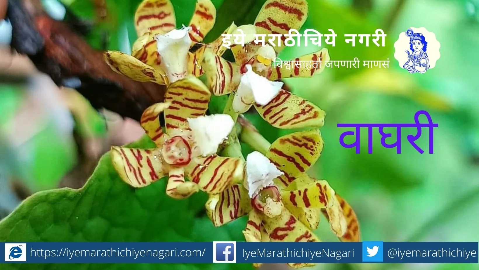 navratri-biodiversity-theme-yellow colour