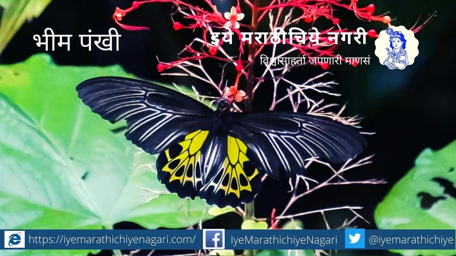 navratri-biodiversity-theme-yellow colour