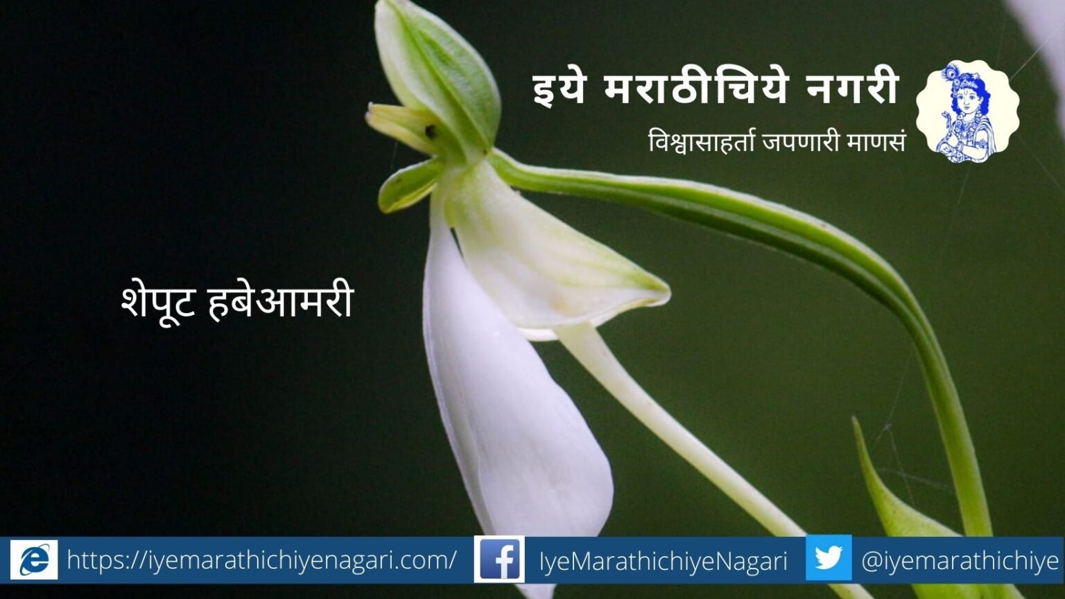 https://iyemarathichiyenagari.com/navratri-theme-biodiversity-white-colour-by-pratik-more/