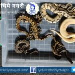 665 animals of exotic species found in import material at air cargo complex