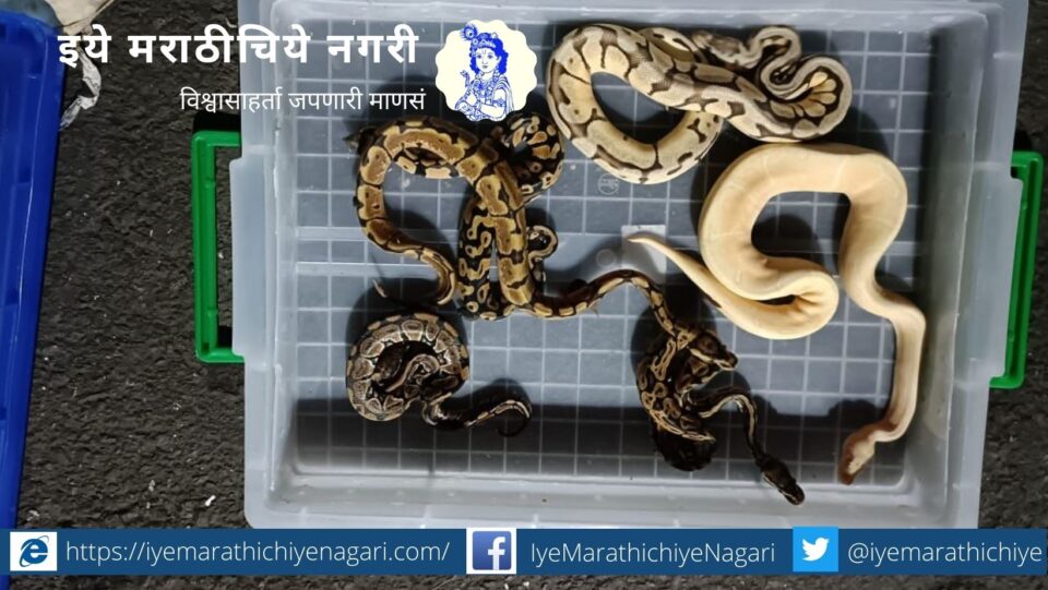 665 animals of exotic species found in import material at air cargo complex 