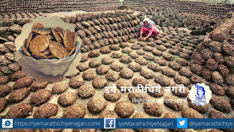 Cow Dung will get Golden Price article by rajendra ghorpade