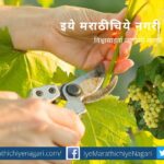 Grape Crop Pruning Method and Protection