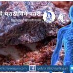 Newtons law in human life article by Dr V N Shinde