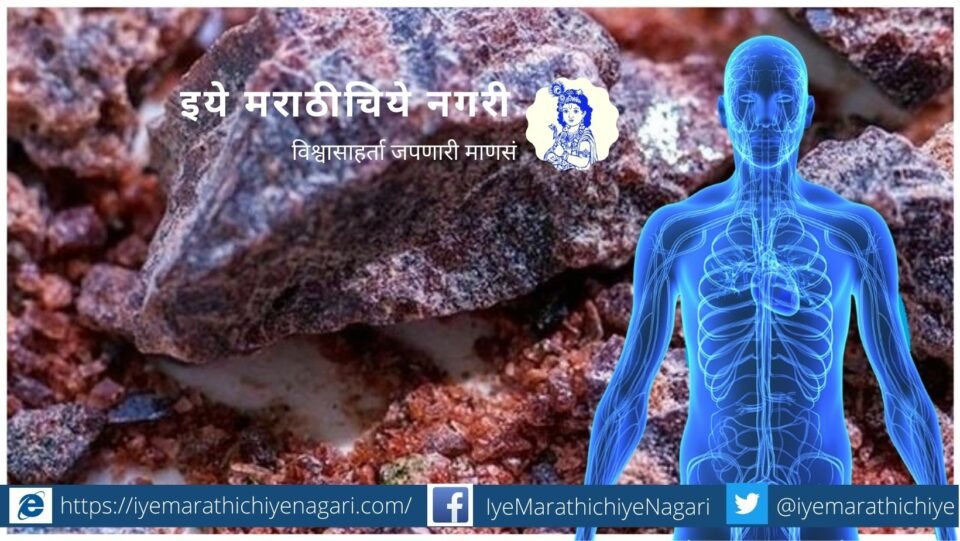 Newtons law in human life article by Dr V N Shinde
