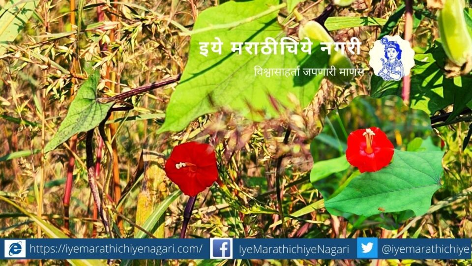 Phulasarkh Japne poem by Dr V N Shinde