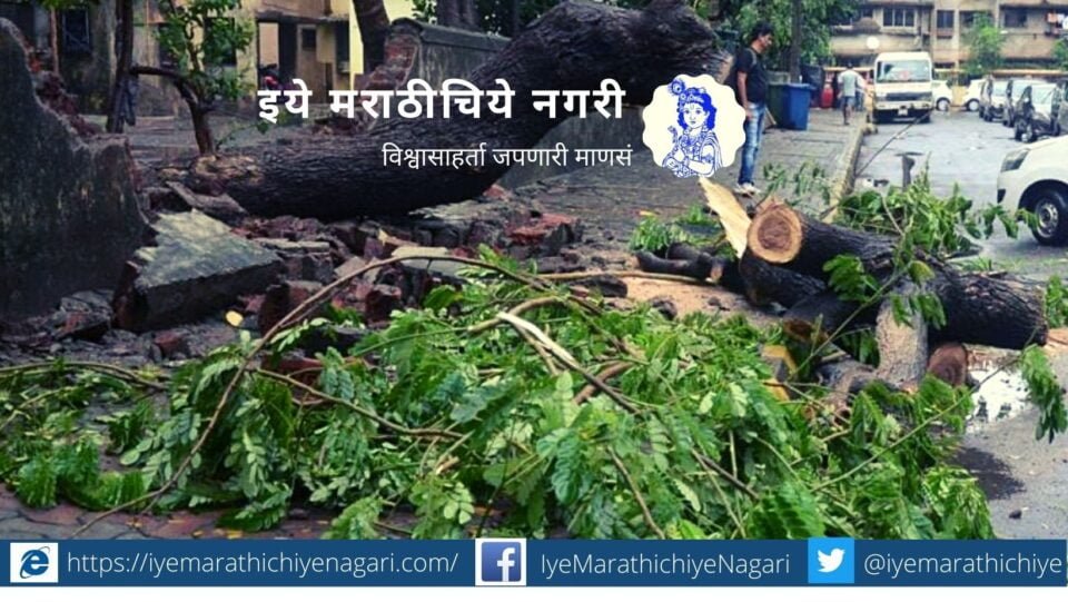 Stop planting Foreign Tree for this reason Dr V N shinde article