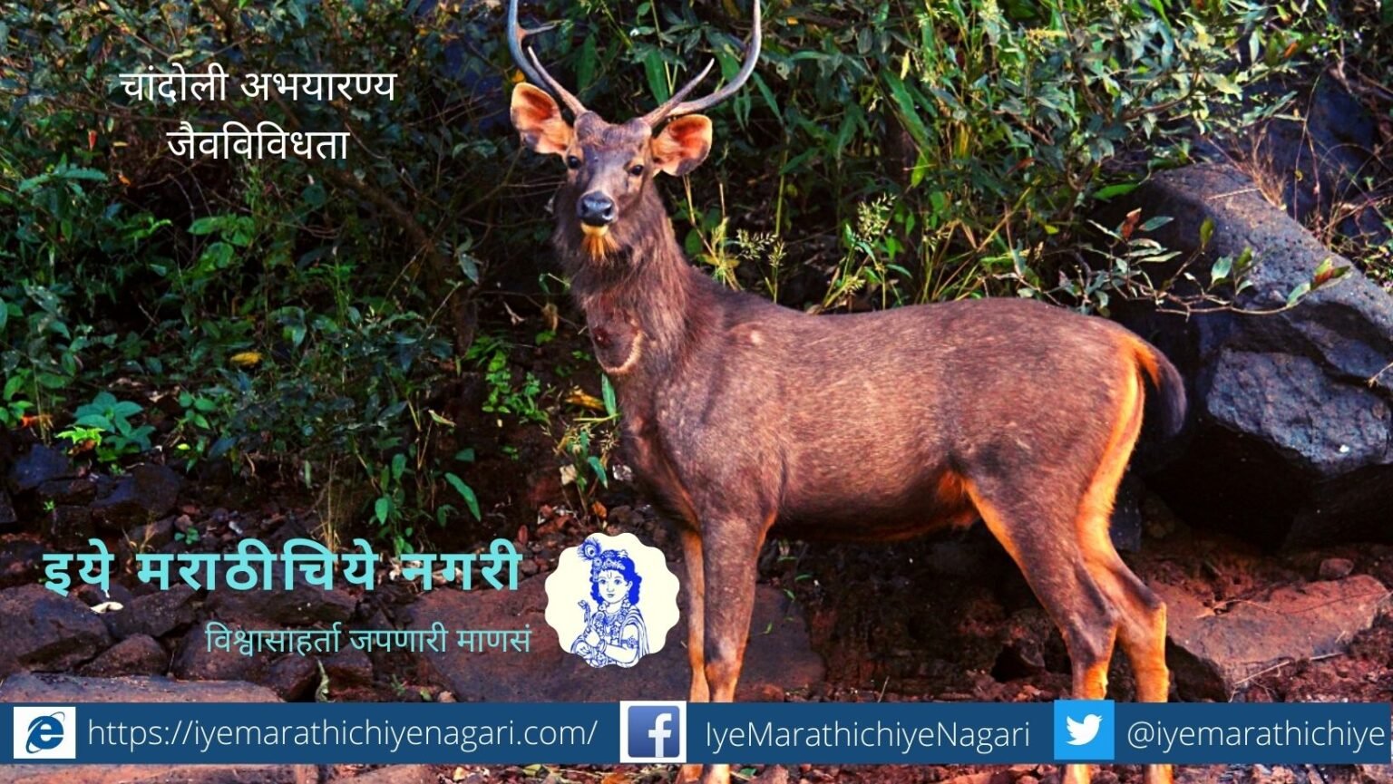chandoli-Nature-Touism-starts-3