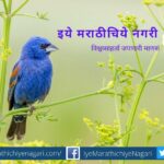 konata-hangam-ha-poem-by-mandar-patil