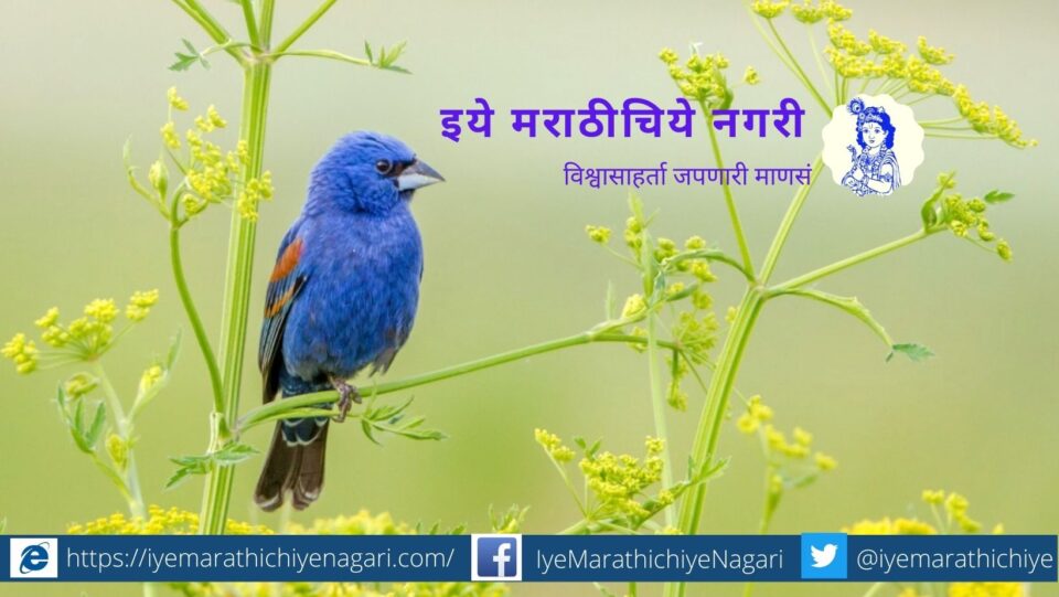 konata-hangam-ha-poem-by-mandar-patil