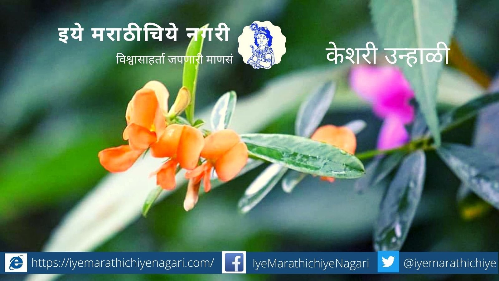 navratri-biodiversity-theme orange Color 