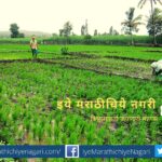 no-farmers-literature-article-by-amar-habib
