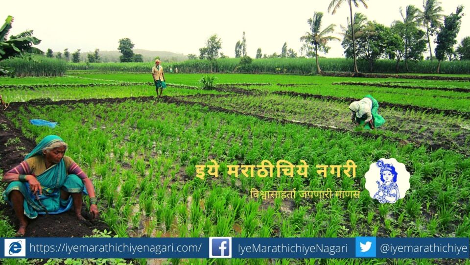no-farmers-literature-article-by-amar-habib