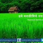 sowing seed for tremendos production of grain article by rajendra ghorpade