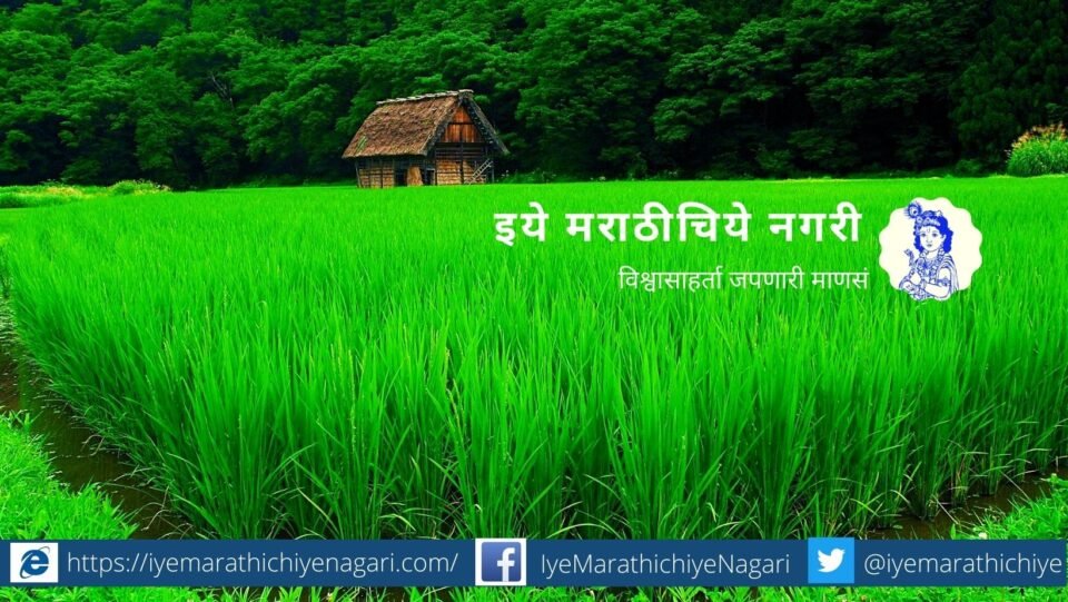 sowing seed for tremendos production of grain article by rajendra ghorpade