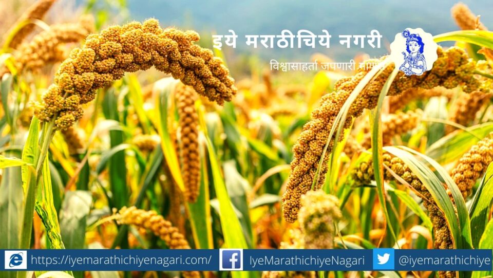 Centres promotion of export of coarse cereals and its value added products