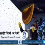 remove honey hives in an eco-friendly manner