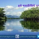 some-species-of-mangroove-on-the-east-and-west-coasts-of-india-are-likely-to-be-depleted