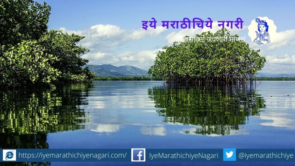 some-species-of-mangroove-on-the-east-and-west-coasts-of-india-are-likely-to-be-depleted