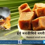 use of Jaggery in biological control of Insects