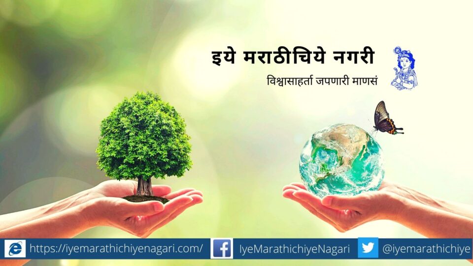 Environmental changes Forest decision in year