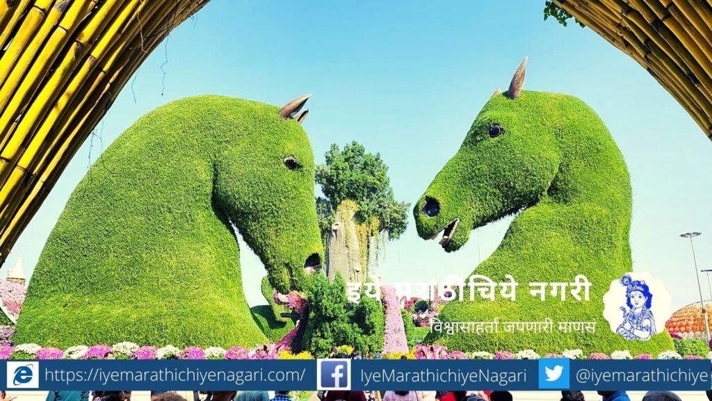 Miracle Garden Dubai article by Prashant Satpute 