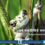 syngenta-vs-dr-tayron-article-by-dr-vinaya-jangle