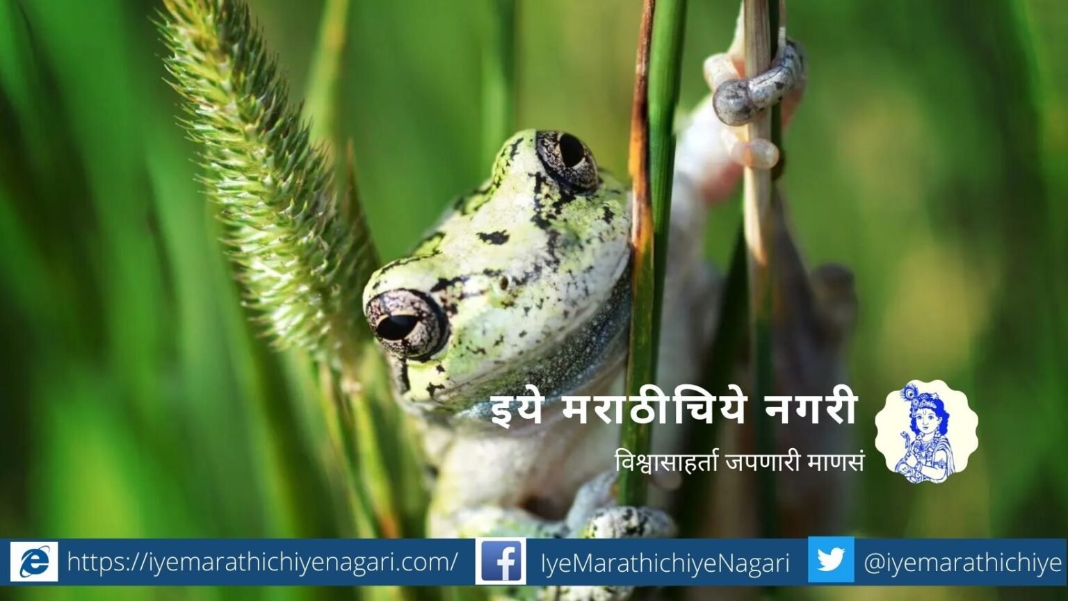 syngenta-vs-dr-tayron-article-by-dr-vinaya-jangle