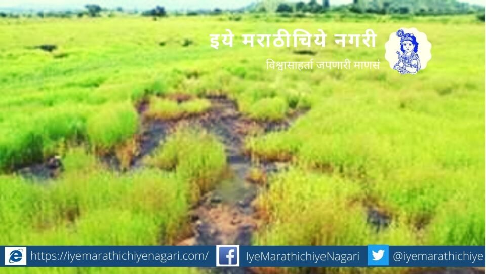 A new type of plateau found in Manjare village in Thane district