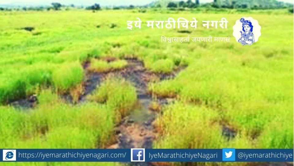 A new type of plateau found in Manjare village in Thane district