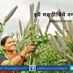 Bajara Super plus food article by Prashant Daithankar