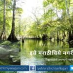 Chilapi Fish and River pollution article by Vilas Shinde